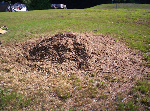 stump grinding sample project Concord NH